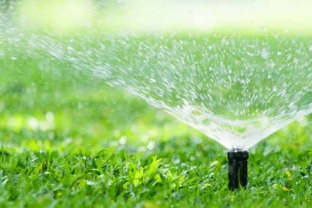 Sprinkler bewässert grünen Rasen
